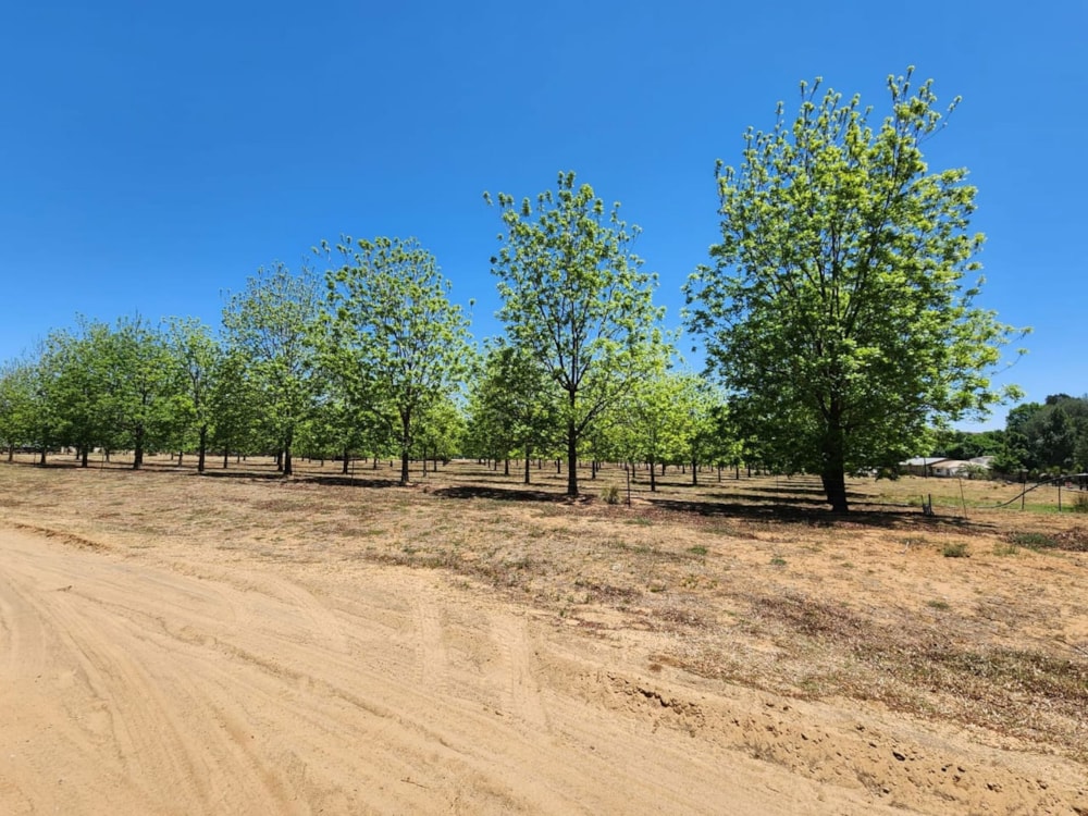 Smallholding for sale in Frankfort - 1BTH1634535