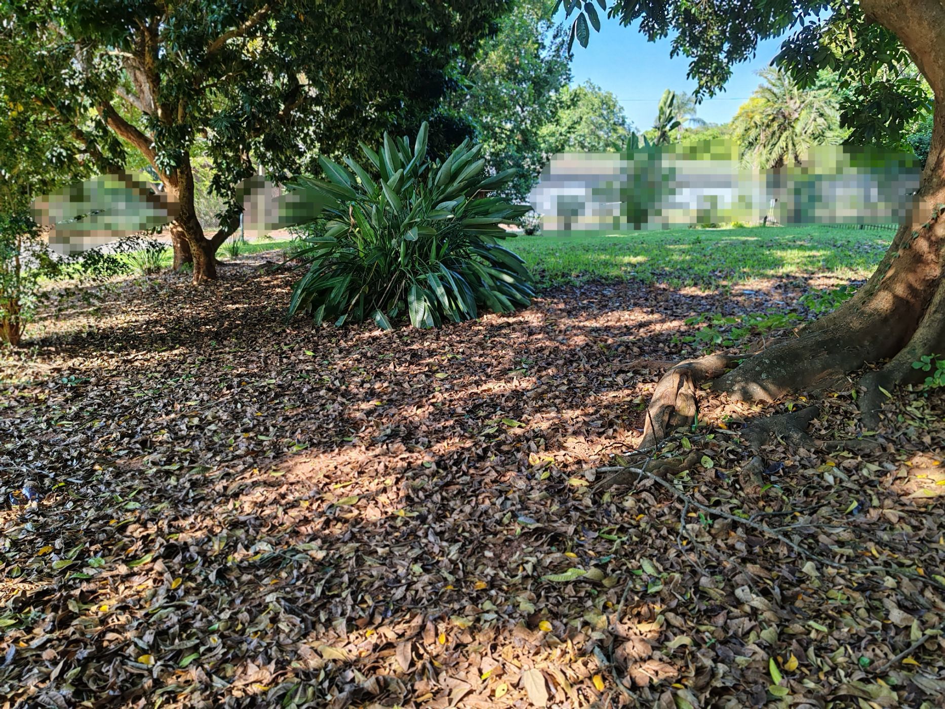 Vacant land for sale in Aqua Park - 1TA1634555