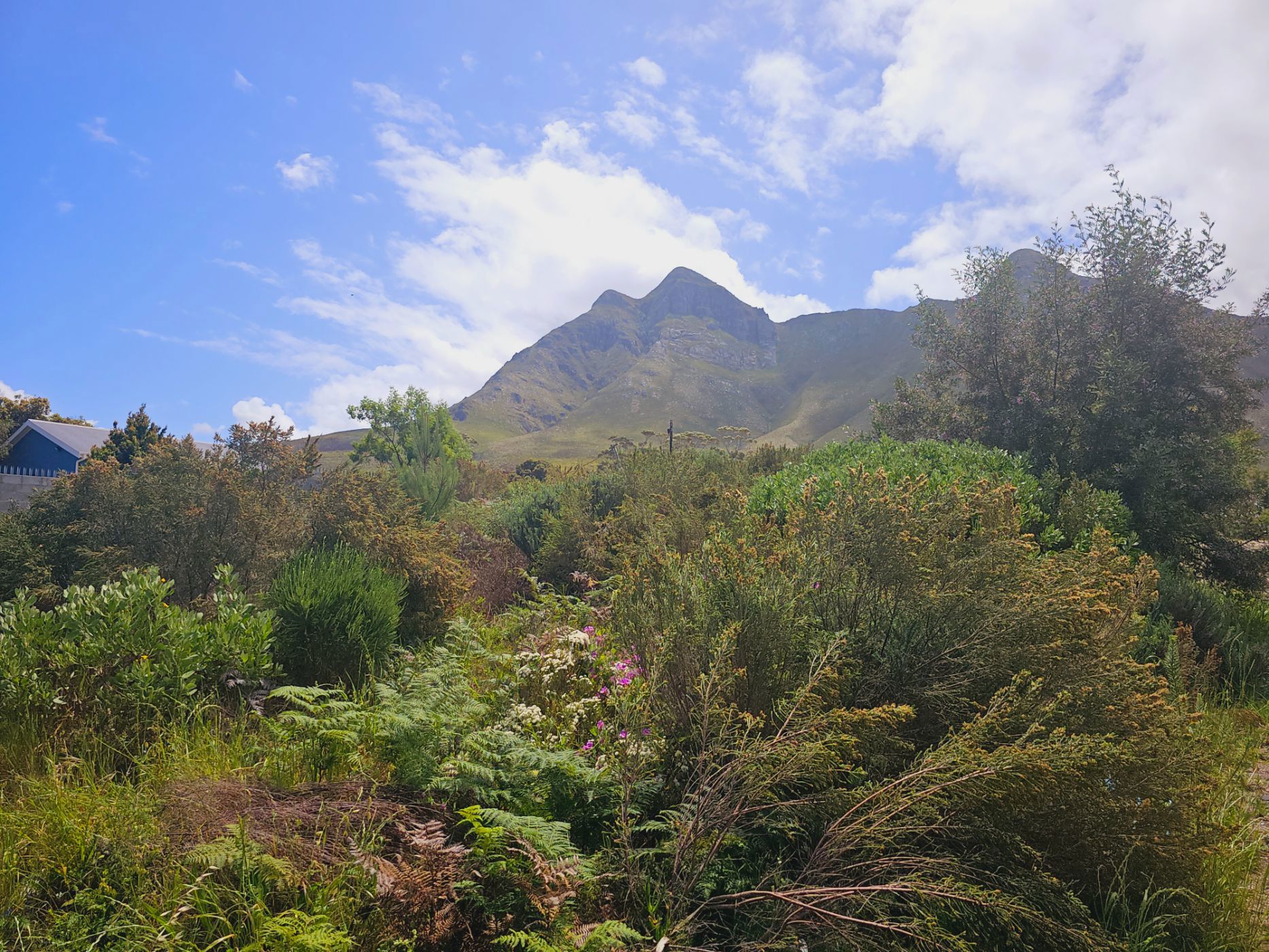 Vacant land for sale in Kleinmond - KN1039776