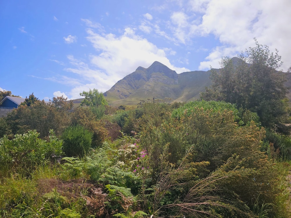Vacant land for sale in Kleinmond - KN1039776 Vacant land for sale in Kleinmond - KN1039776