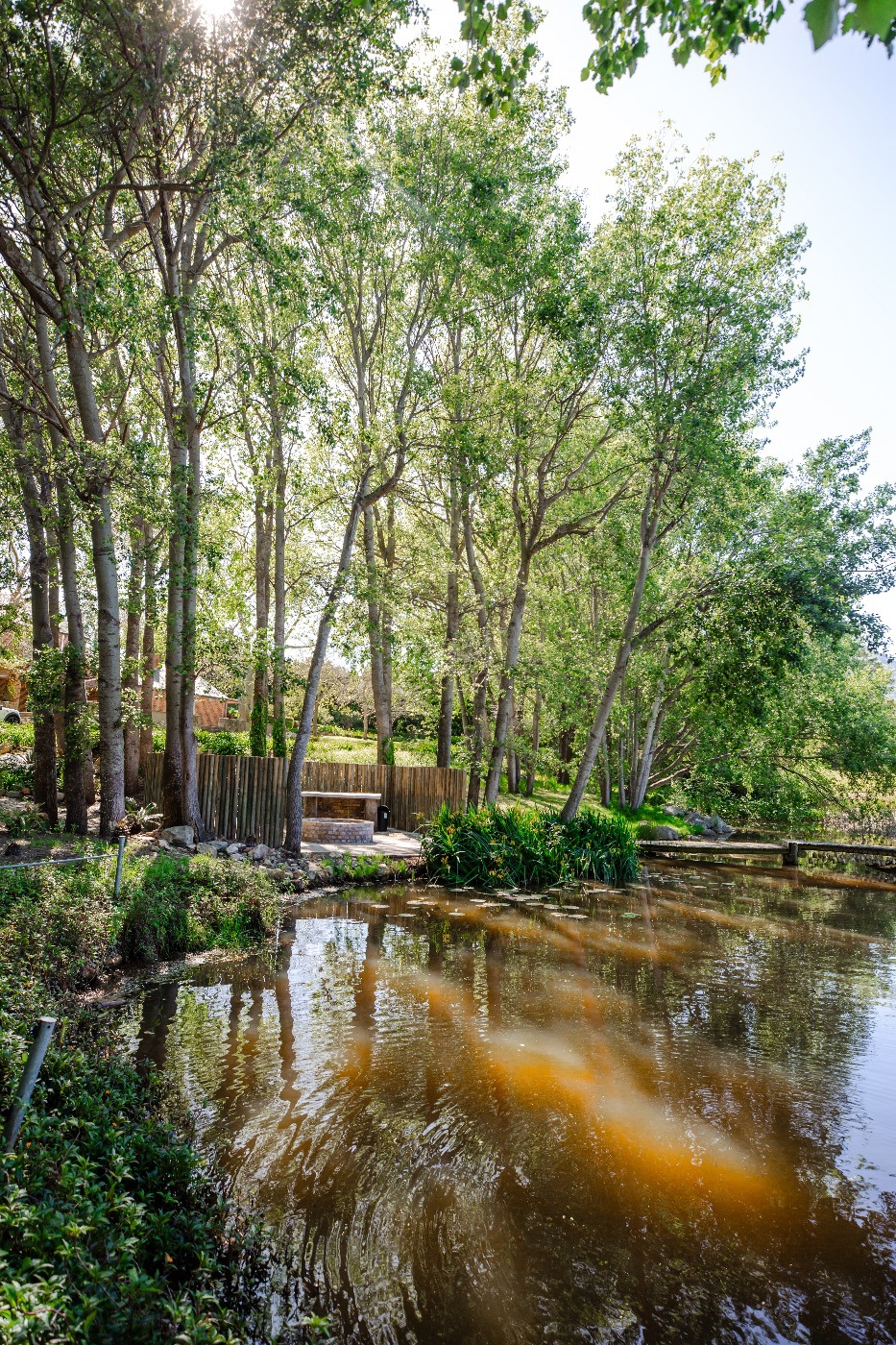 Lifestyle property for sale in Stellenbosch Farms - ST1633216