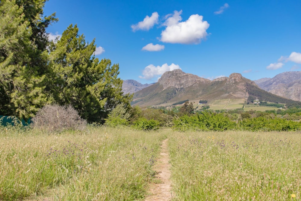 Vacant land sold in Franschhoek - FWI1303047