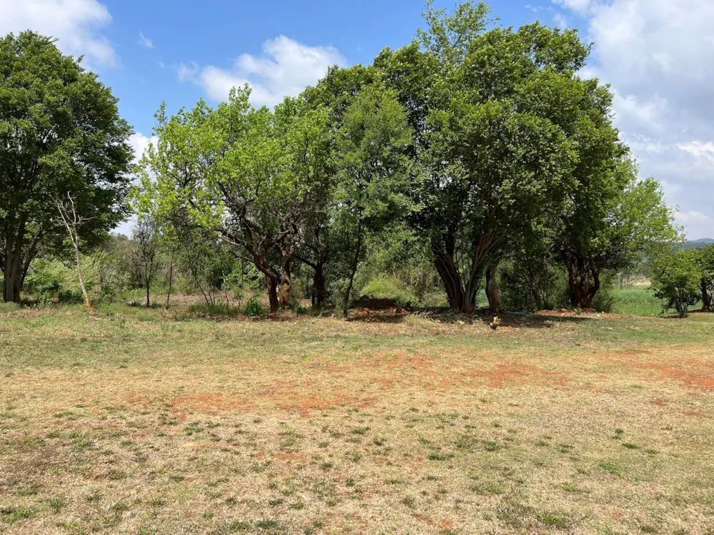 Residential vacant land for sale in Estate D Afrique - 1HR1633169 Residential vacant land for sale in Estate D Afrique - 1HR1633169