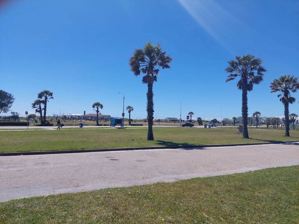 Apartment for sale in Summerstrand - 1PLZ1547665 Apartment for sale in Summerstrand - 1PLZ1547665