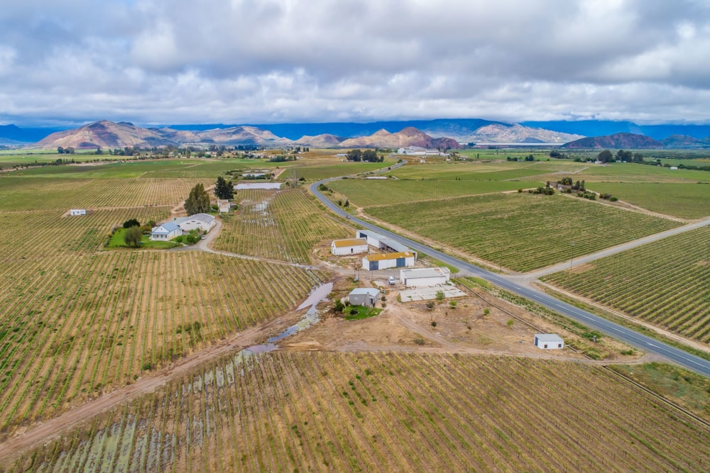 Wine farm for sale in Worcester Rural - TK1327175 Wine farm for sale in Worcester Rural - TK1327175