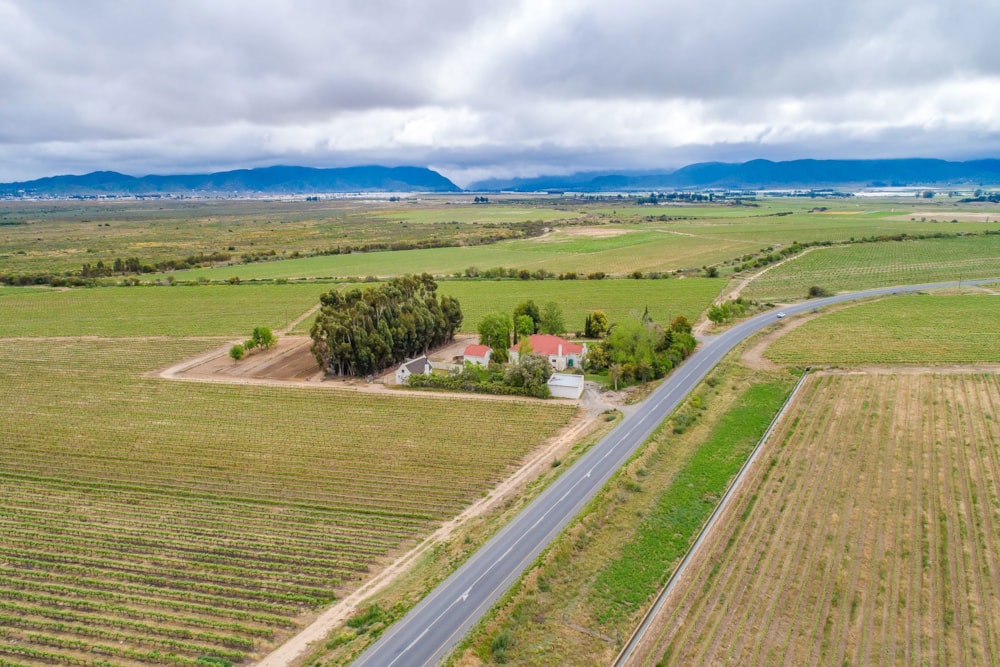 Wine farm for sale in Worcester Rural - TK1327175 Wine farm for sale in Worcester Rural - TK1327175