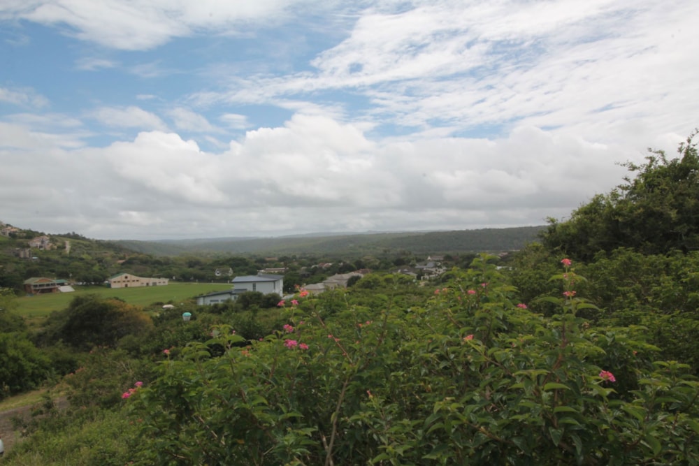 Residential vacant land for sale in West Bank, Port Alfred - 1PF1631016 Residential vacant land for sale in West Bank, Port Alfred - 1PF1631016