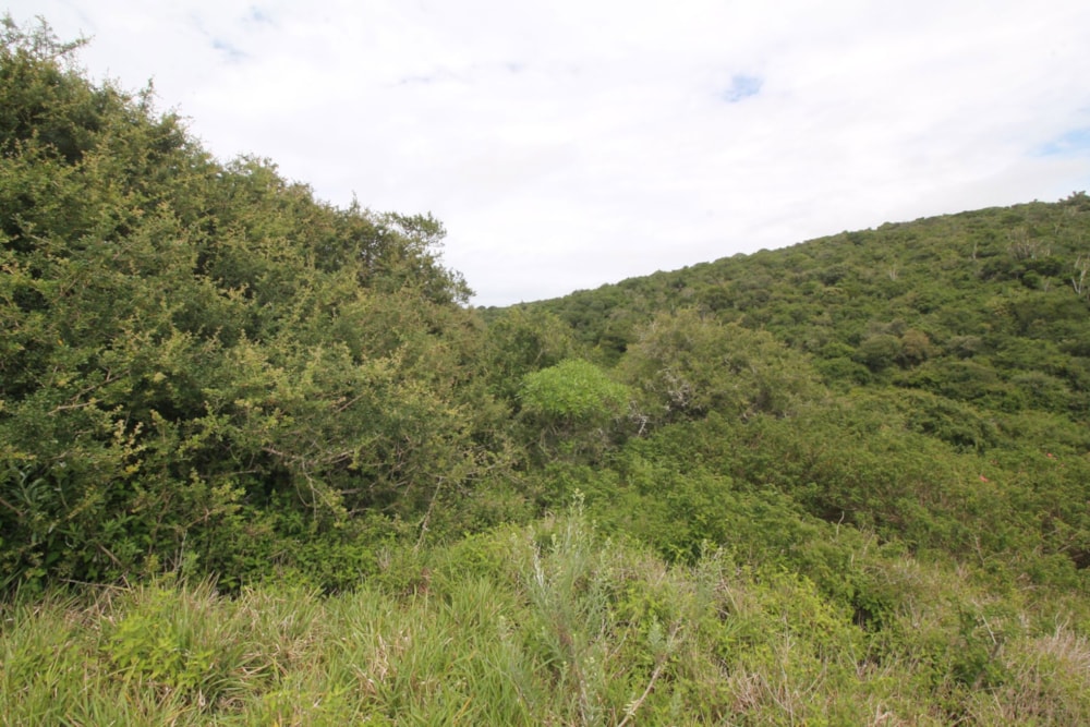Residential vacant land for sale in West Bank, Port Alfred - 1PF1631016 Residential vacant land for sale in West Bank, Port Alfred - 1PF1631016