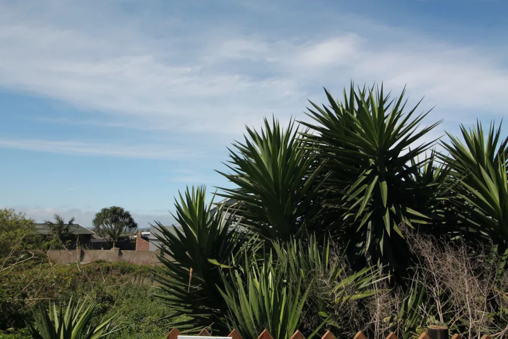 Residential vacant land for sale in Forest Downs - 1PF1632872
