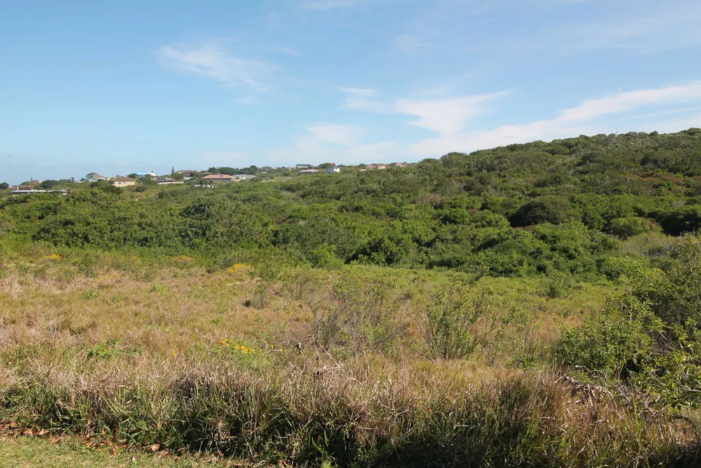 Residential vacant land sold in Forest Downs - 1PF1637533 Residential vacant land sold in Forest Downs - 1PF1637533