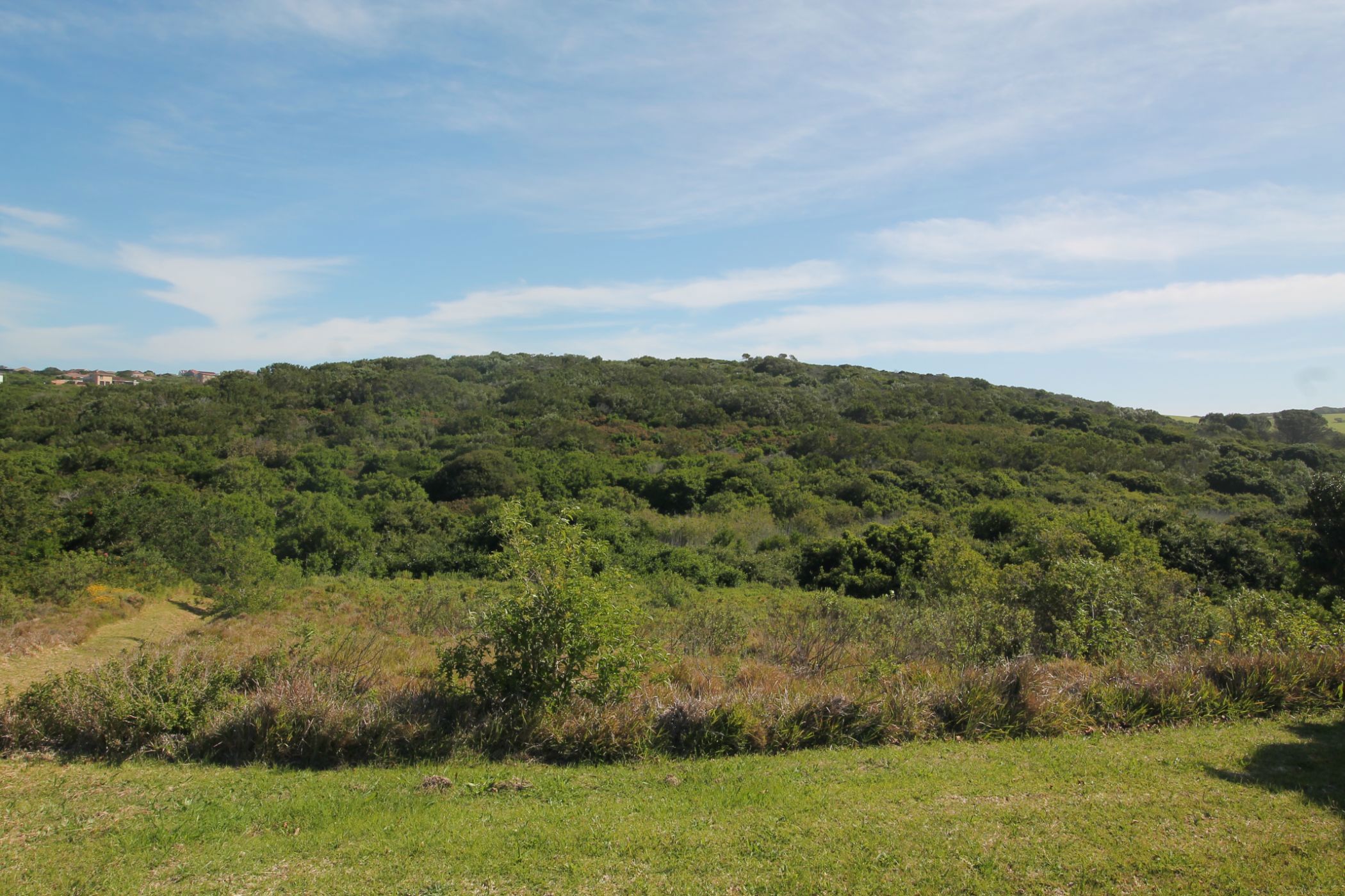 Residential vacant land for sale in Forest Downs - 1PF1637533