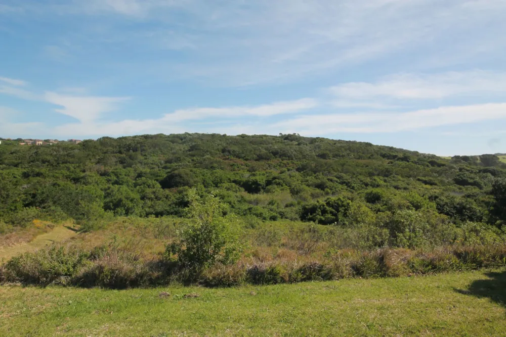 Residential vacant land sold in Forest Downs - 1PF1637533 Residential vacant land sold in Forest Downs - 1PF1637533