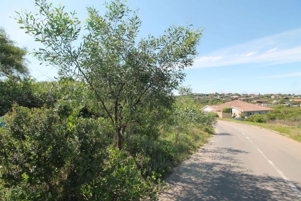 Residential vacant land for sale in Forest Downs - 1PF1632868