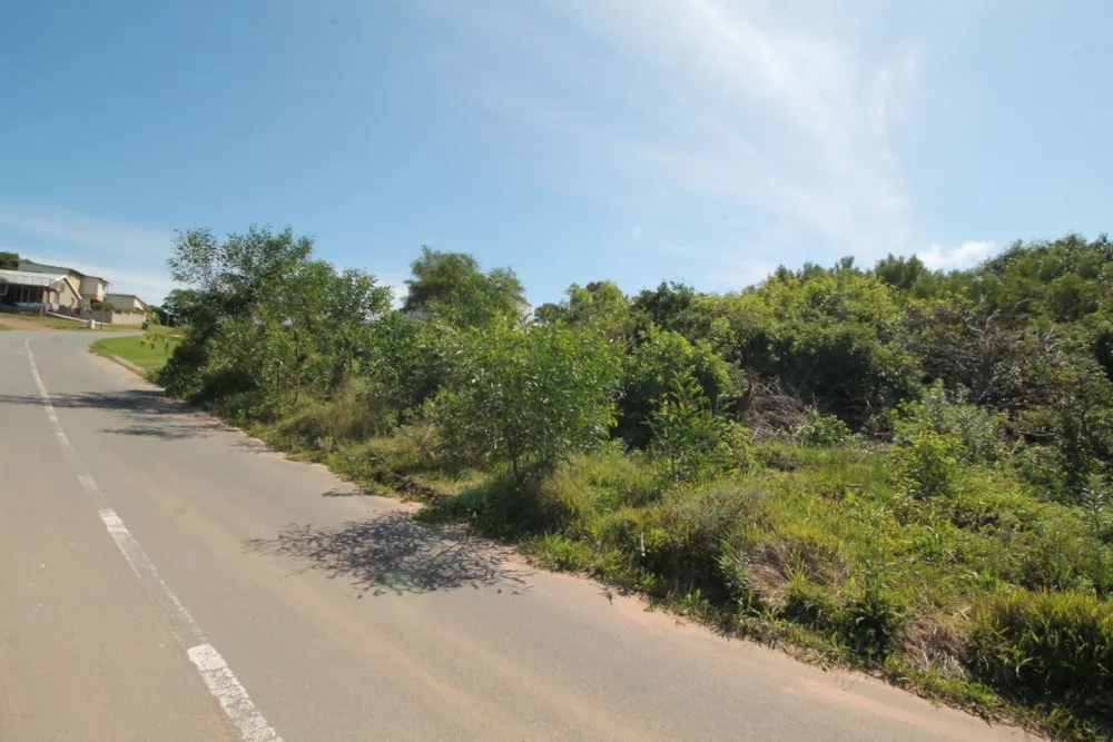 Residential vacant land for sale in Forest Downs - 1PF1632868