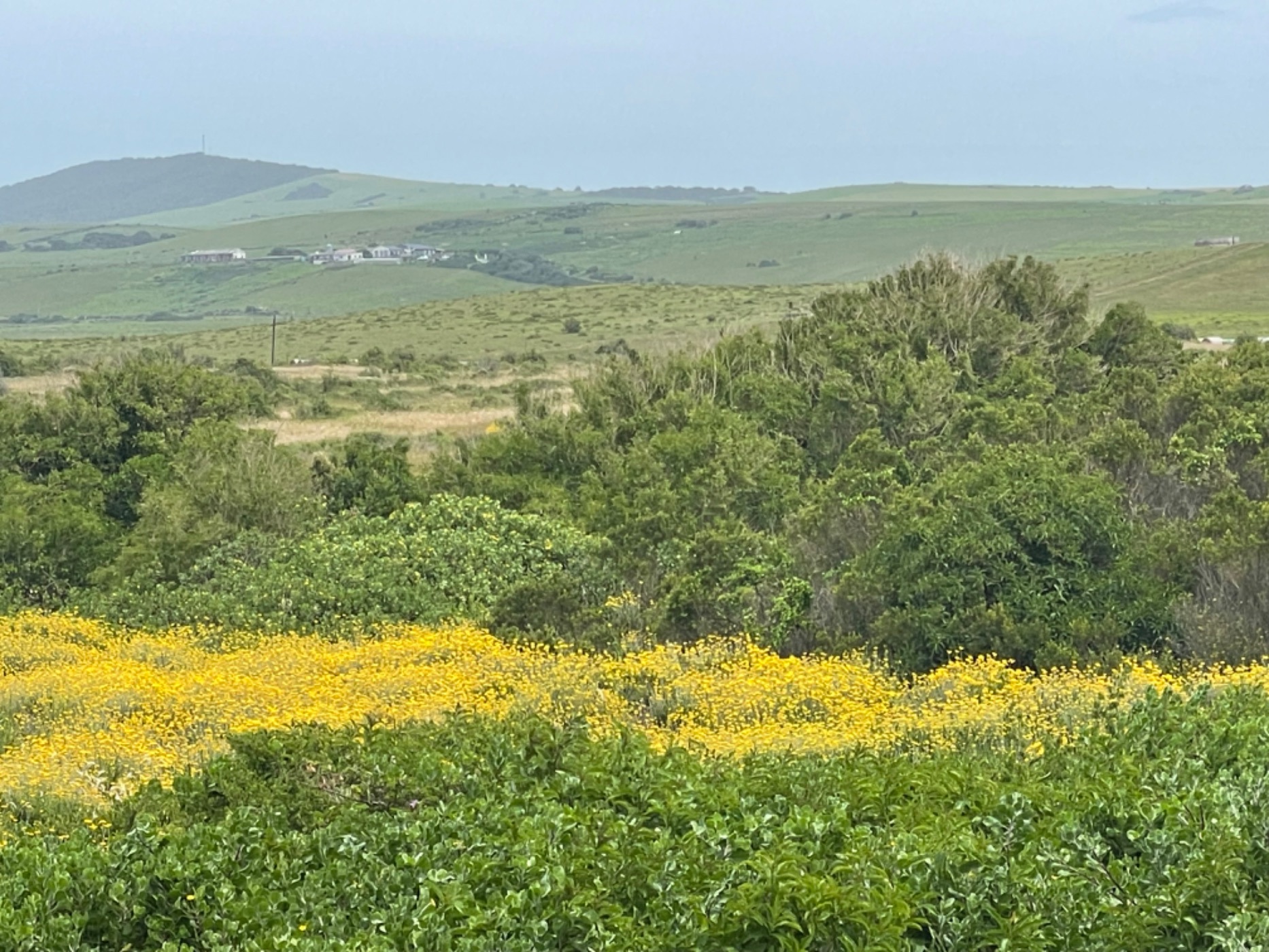 Vacant land for sale in Boknesstrand - 1KO1736385