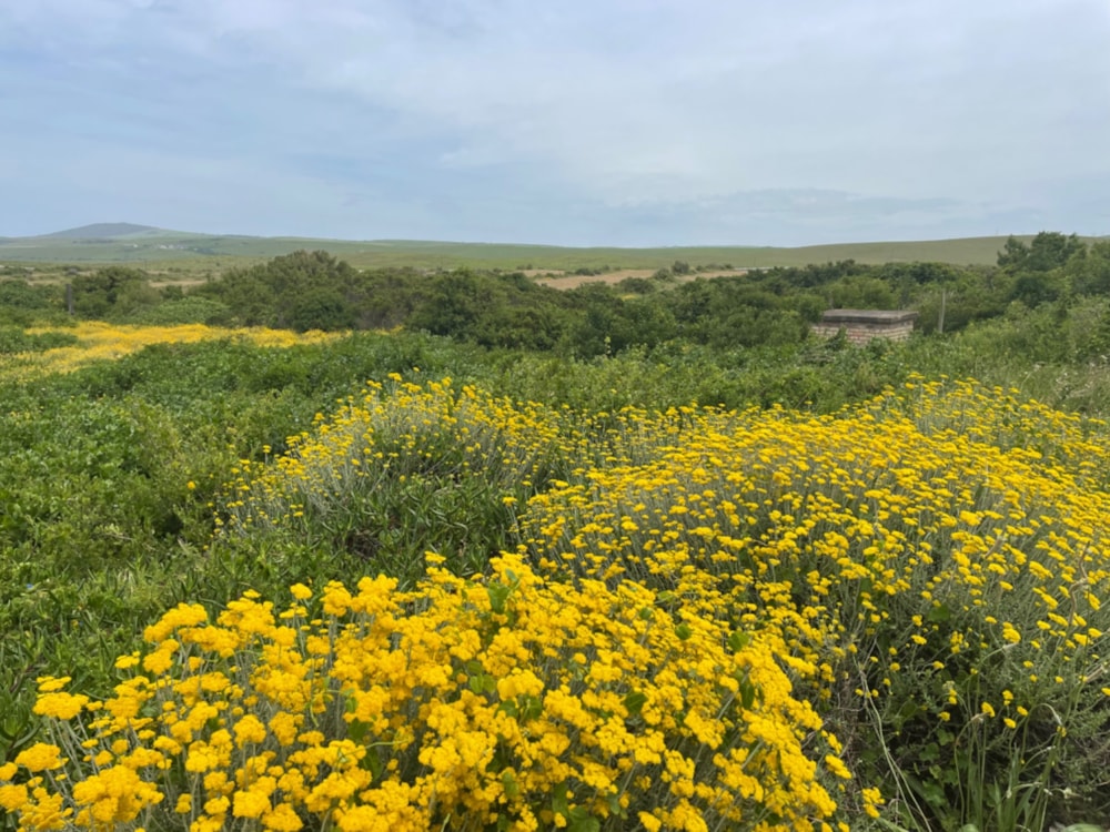 Vacant land for sale in Boknesstrand - 1KO1637632