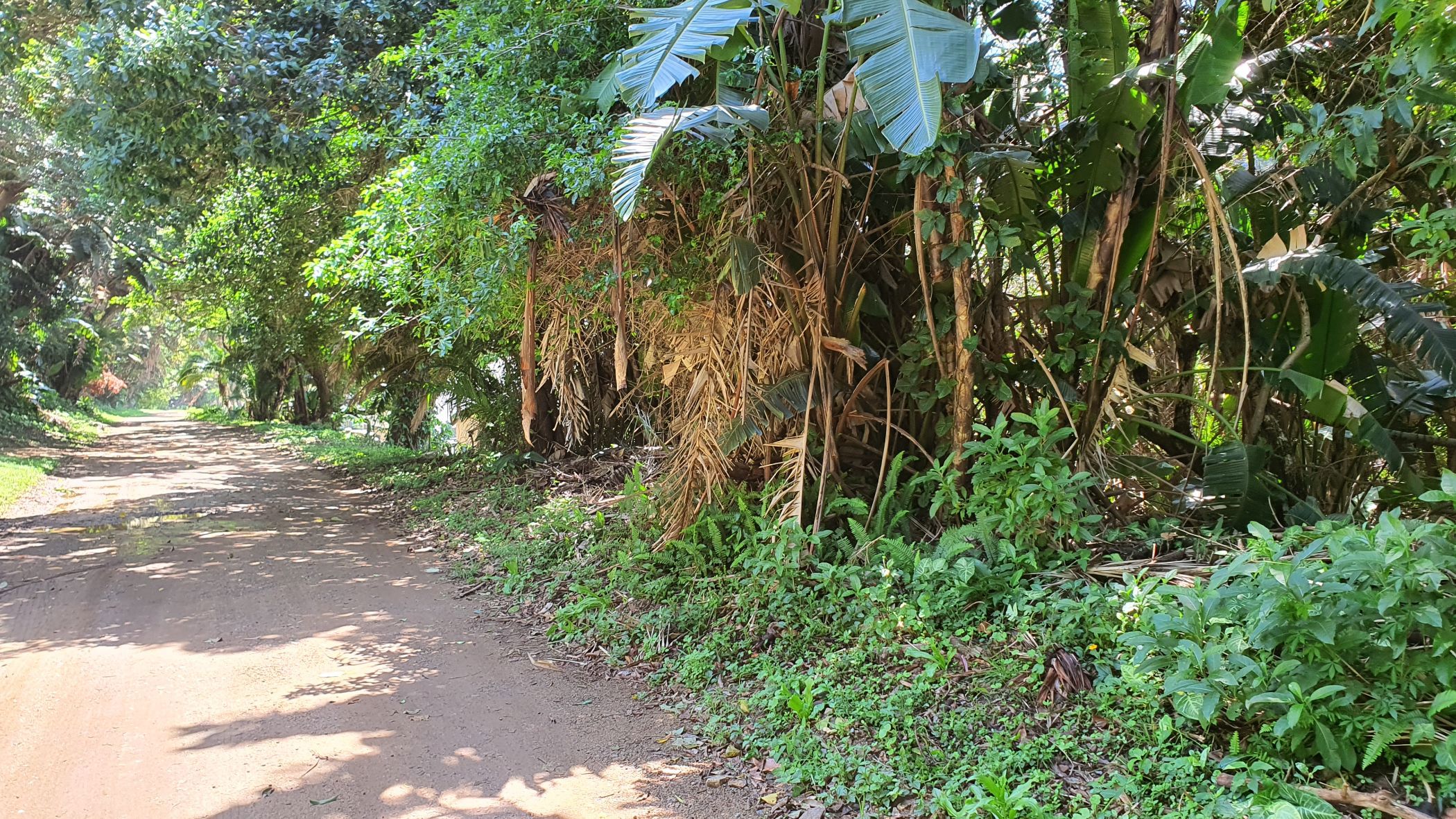 Residential vacant land for sale in Glenmore Beach - 1PD1638369