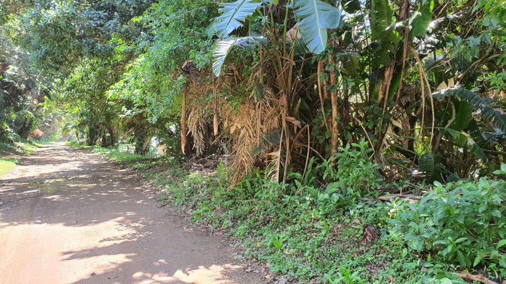 Residential vacant land for sale in Glenmore Beach - 1PD1638369 Residential vacant land for sale in Glenmore Beach - 1PD1638369