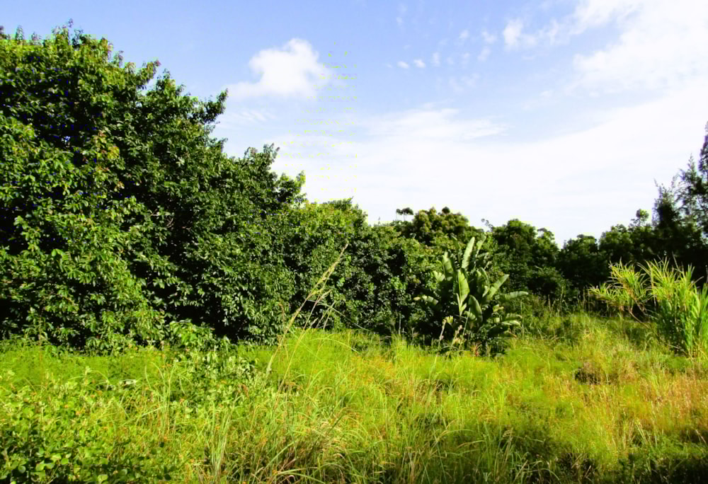 Residential vacant land for sale in Banners Rest - 1PD1572001