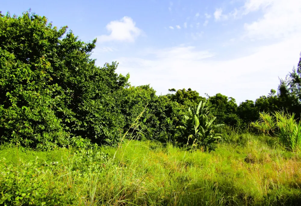 Residential vacant land for sale in Banners Rest - 1PD1572001 Residential vacant land for sale in Banners Rest - 1PD1572001