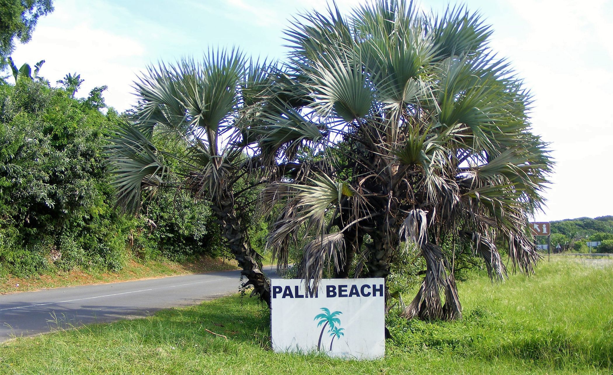 Residential vacant land for sale in Palm Beach - 1PD1621862