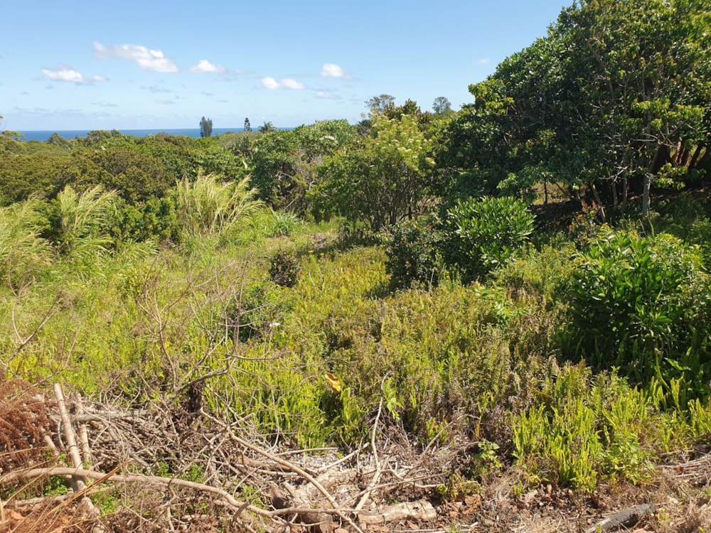 Residential vacant land for sale in Port Edward - 1PD1624116 Residential vacant land for sale in Port Edward - 1PD1624116