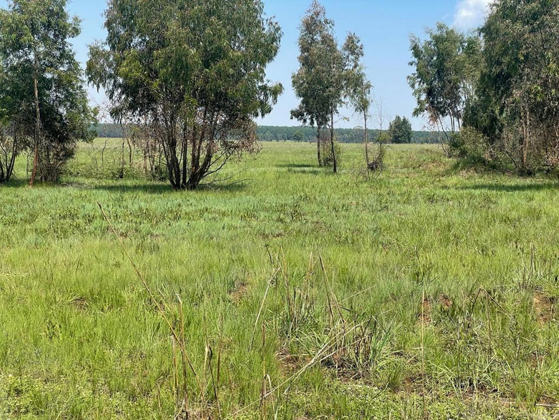 Commercial industrial property for sale in Belfast - 1DS1630926