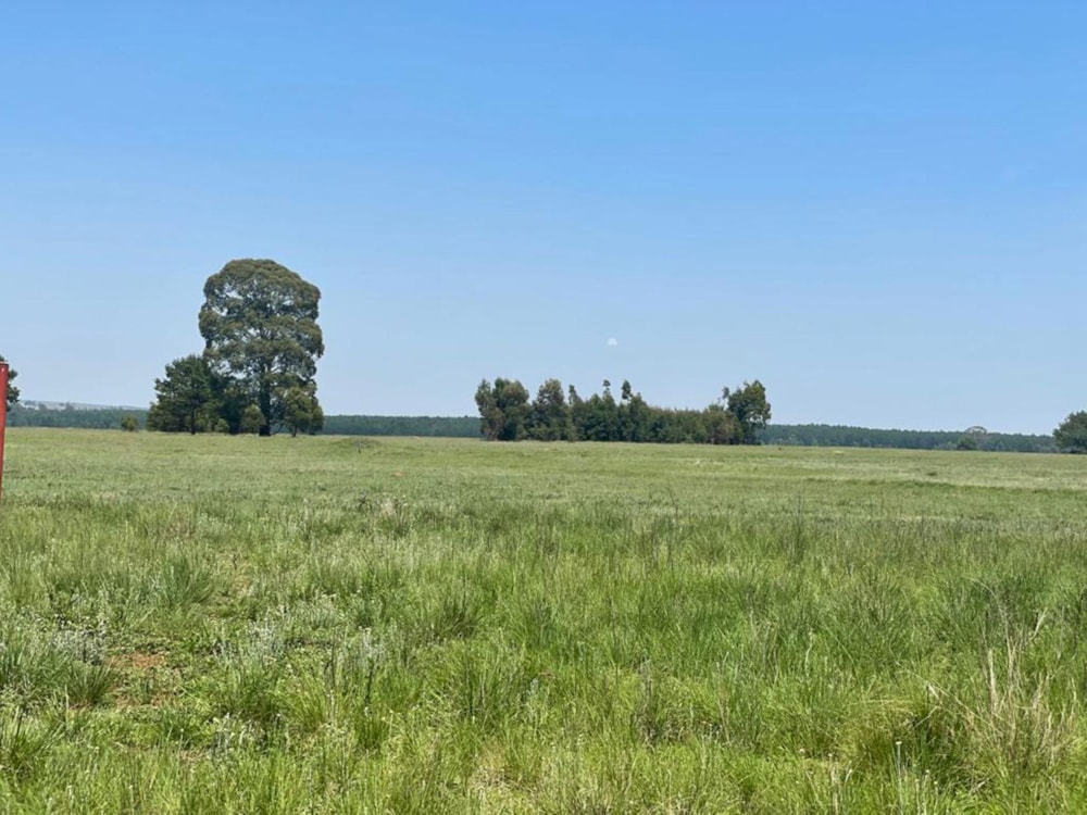 Commercial industrial property for sale in Belfast - 1DS1630926