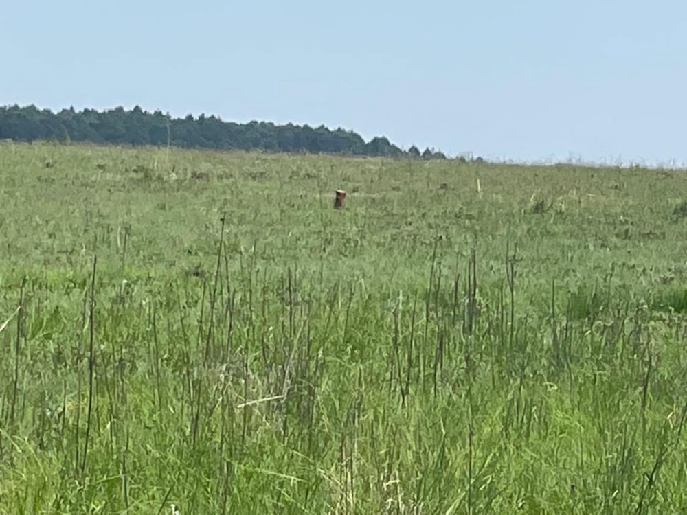 Commercial industrial property for sale in Belfast - 1DS1630926