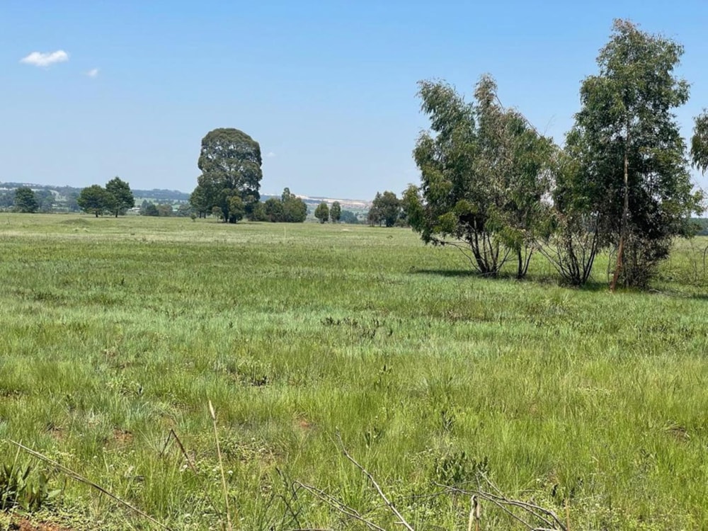 Commercial industrial property for sale in Belfast - 1DS1630926