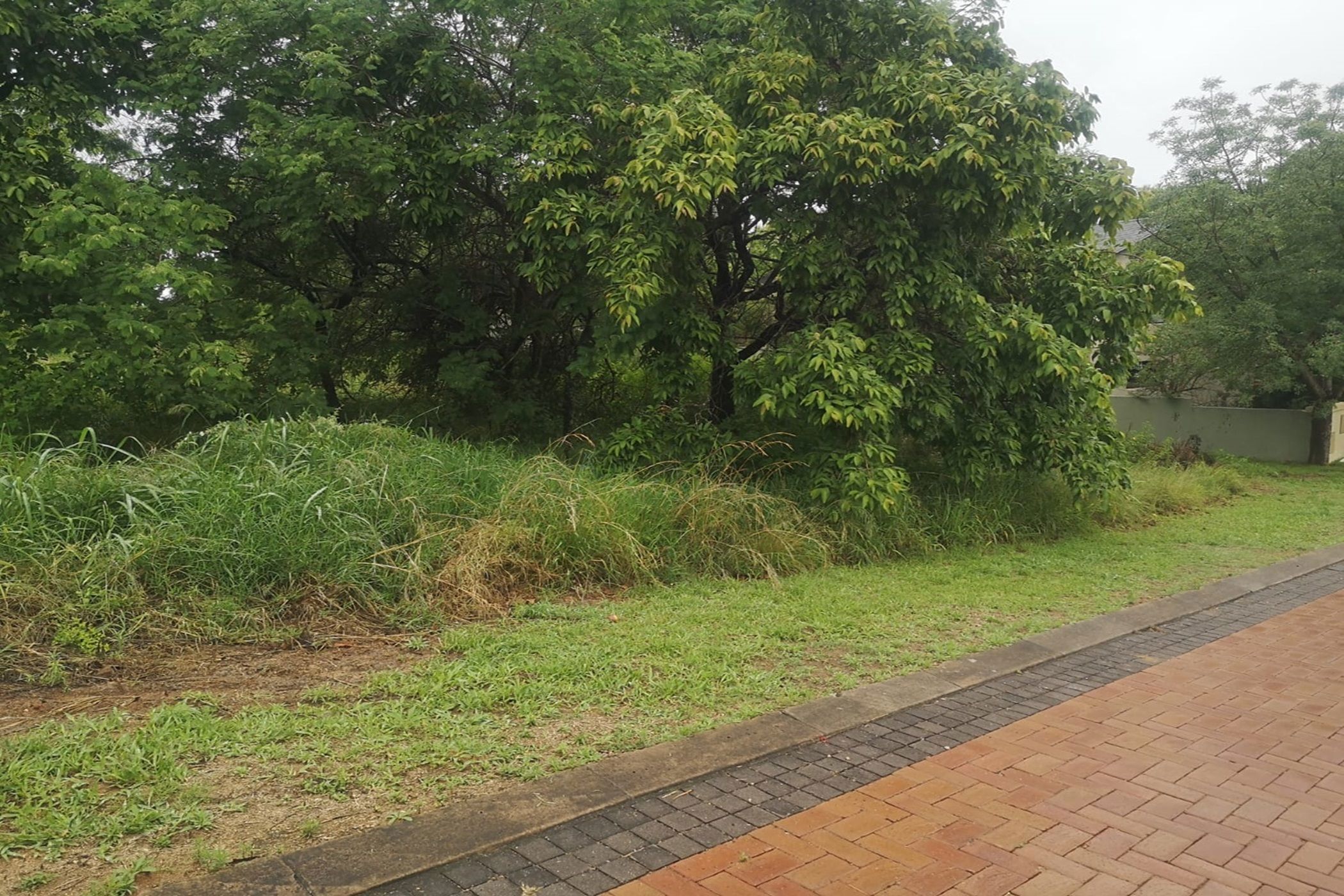 Vacant land for sale in Drum Rock - 1NS1638750