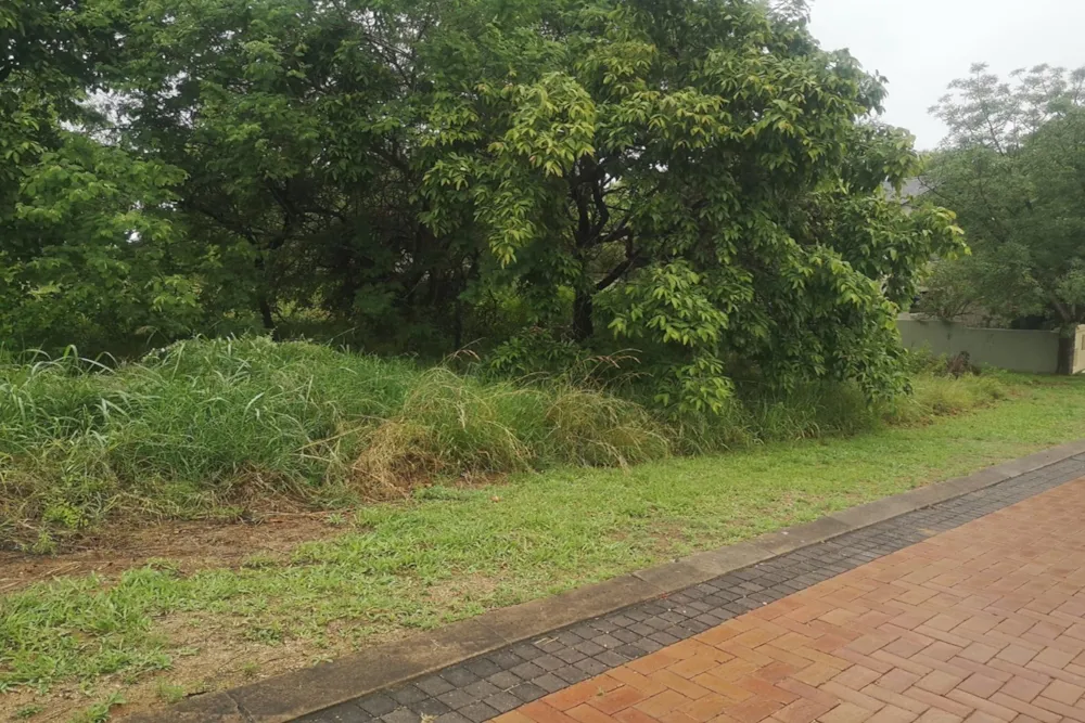 Vacant land for sale in Drum Rock - 1NS1638750