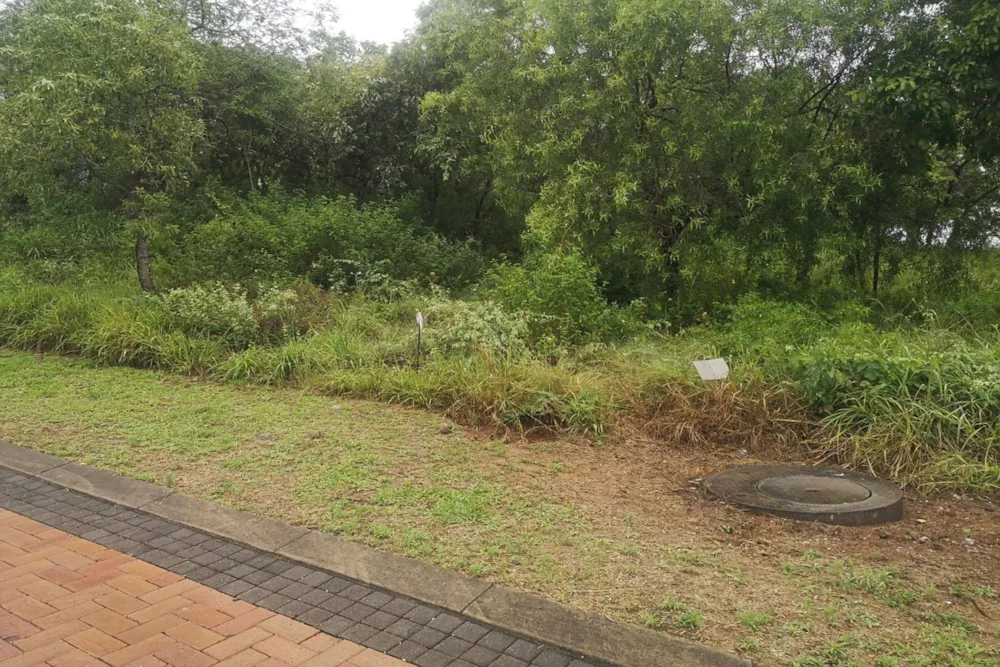 Vacant land for sale in Drum Rock - 1NS1638750
