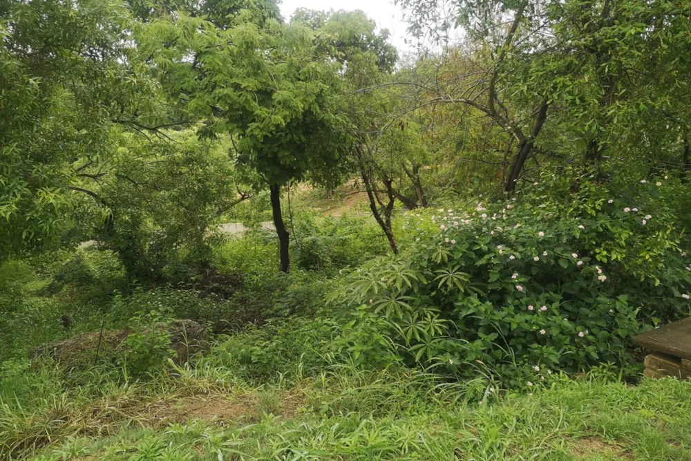 Vacant land for sale in Drum Rock - 1NS1639067