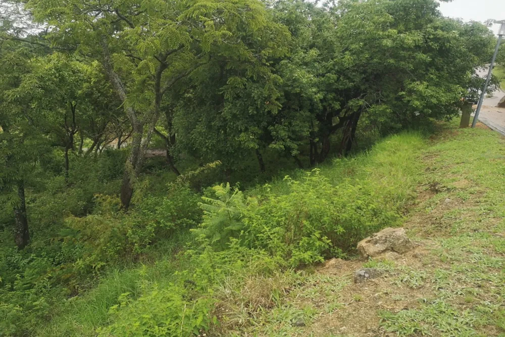 Vacant land for sale in Drum Rock - 1NS1639067