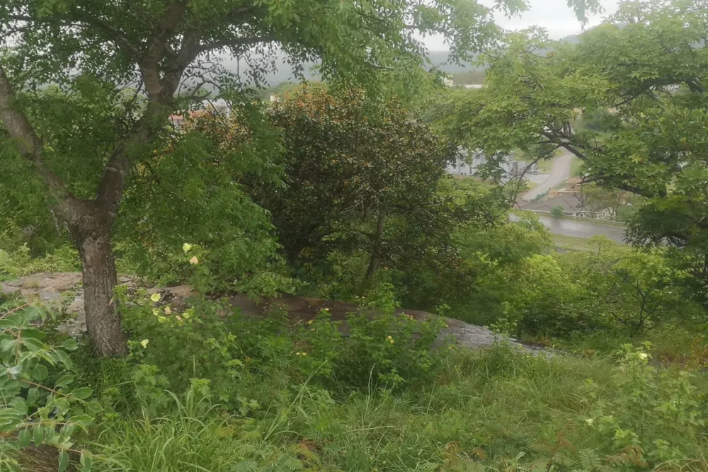 Vacant land for sale in Drum Rock - 1NS1734335 Vacant land for sale in Drum Rock - 1NS1734335