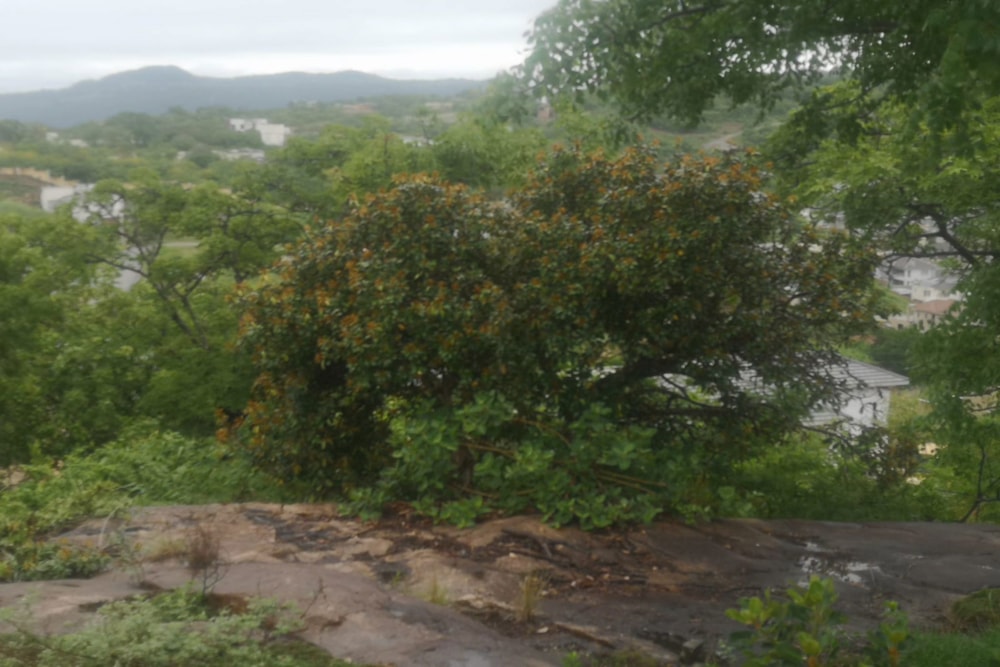 Vacant land for sale in Drum Rock - 1NS1734335 Vacant land for sale in Drum Rock - 1NS1734335