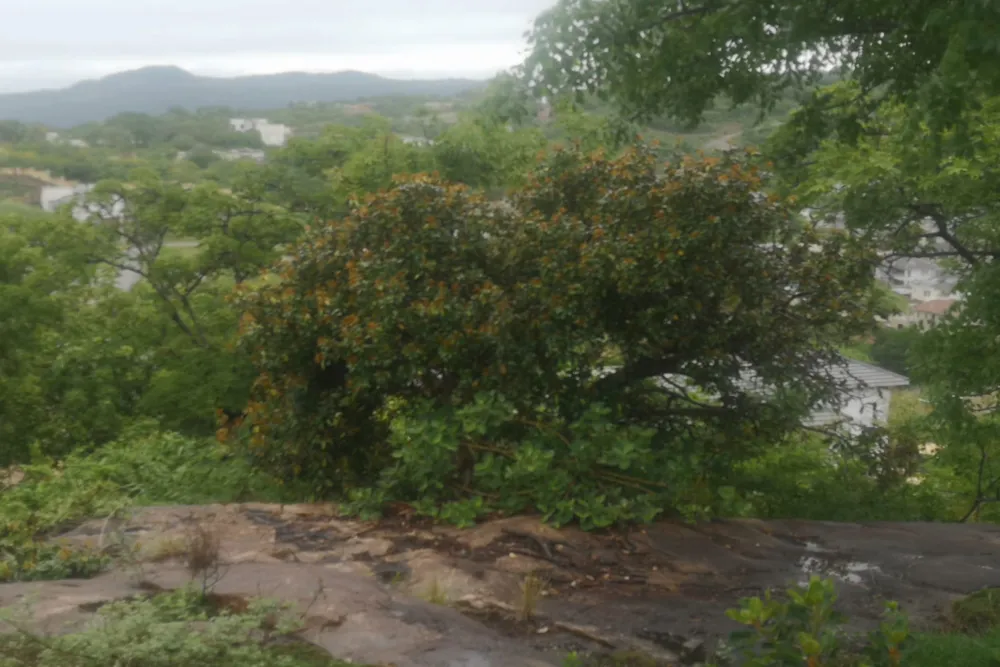 Vacant land for sale in Drum Rock - 1NS1734335 Vacant land for sale in Drum Rock - 1NS1734335