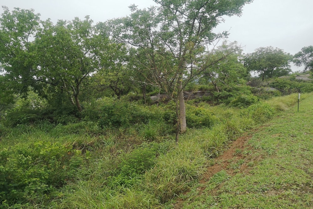 Vacant land for sale in Drum Rock - 1NS1639069 Vacant land for sale in Drum Rock - 1NS1639069