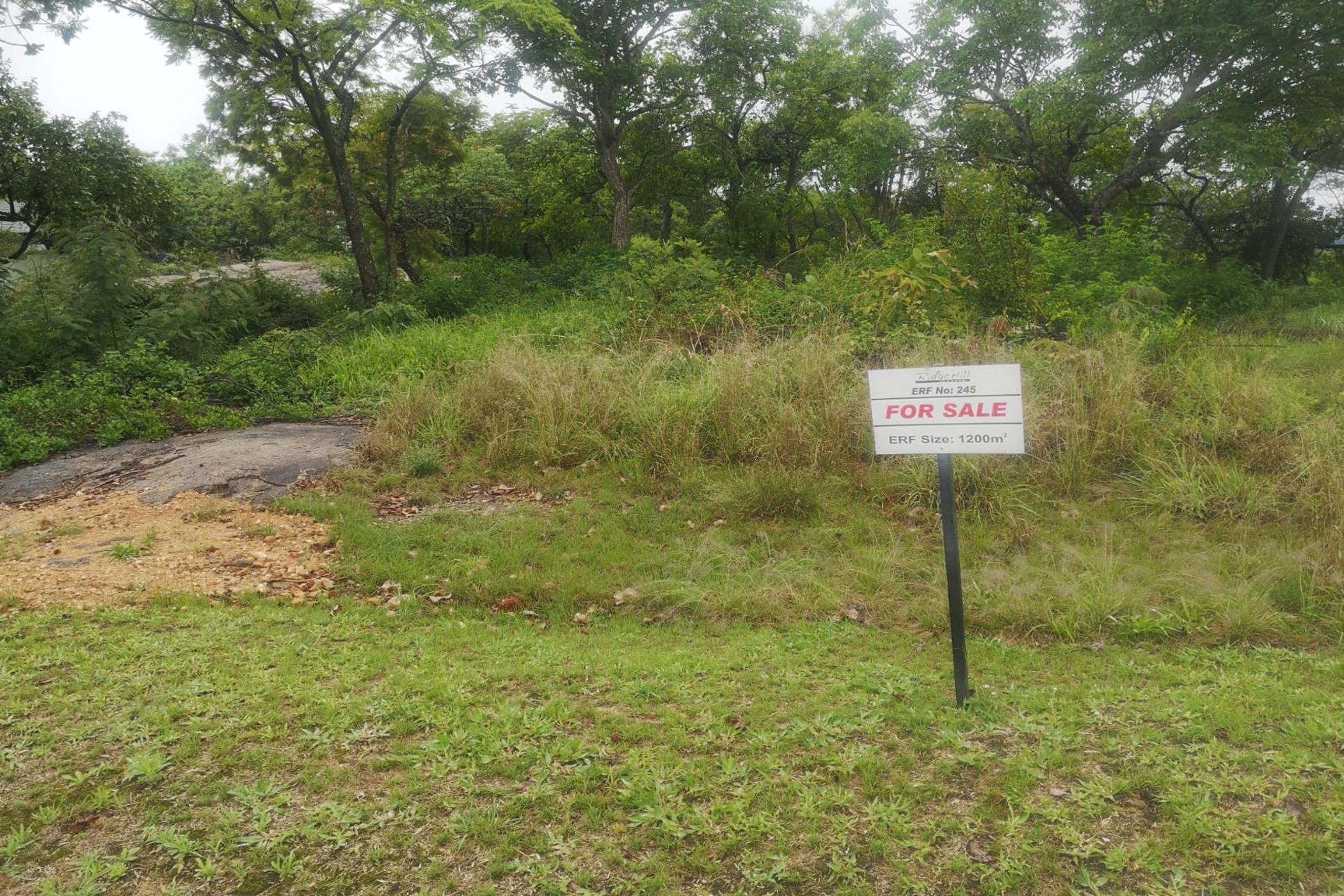 Vacant land for sale in Drum Rock - 1NS1697214