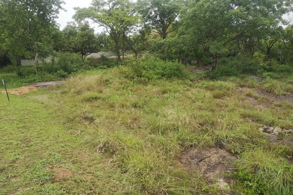 Vacant land for sale in Drum Rock - 1NS1697214 Vacant land for sale in Drum Rock - 1NS1697214