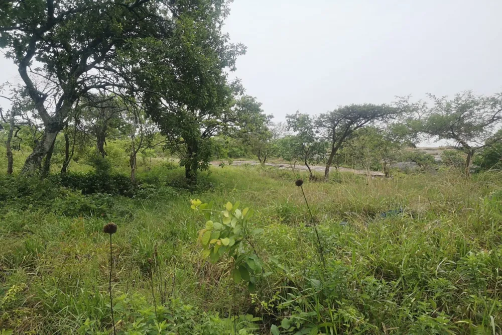 Vacant land for sale in Drum Rock - 1NS1685655 Vacant land for sale in Drum Rock - 1NS1685655