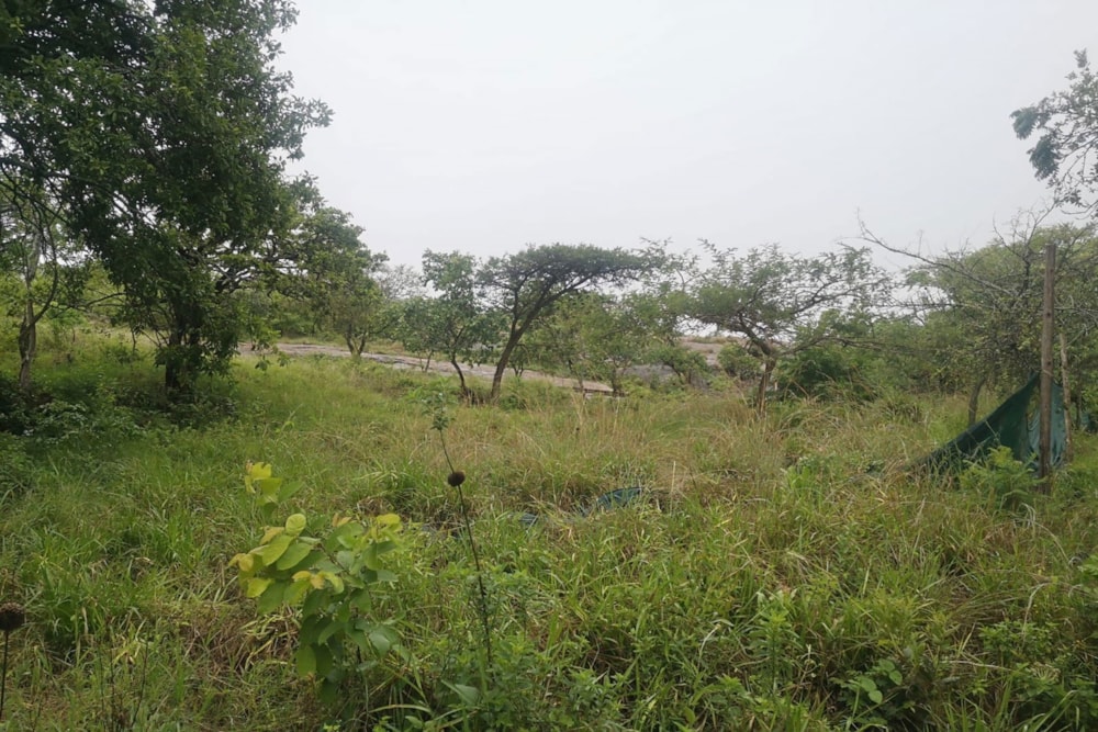 Vacant land for sale in Drum Rock - 1NS1685655 Vacant land for sale in Drum Rock - 1NS1685655