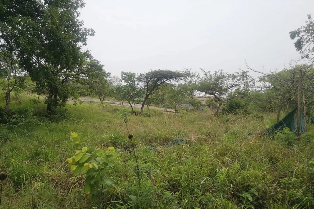 Vacant land for sale in Drum Rock - 1NS1685655 Vacant land for sale in Drum Rock - 1NS1685655