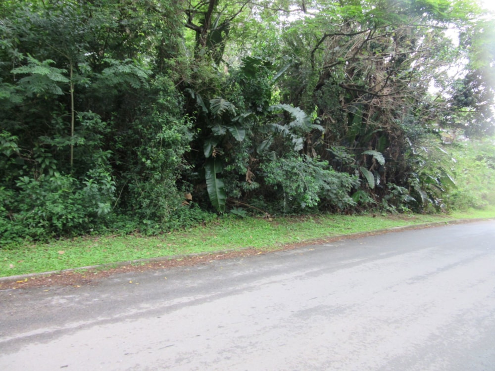 Vacant land for sale in Ramsgate - 1PD1635140 Vacant land for sale in Ramsgate - 1PD1635140