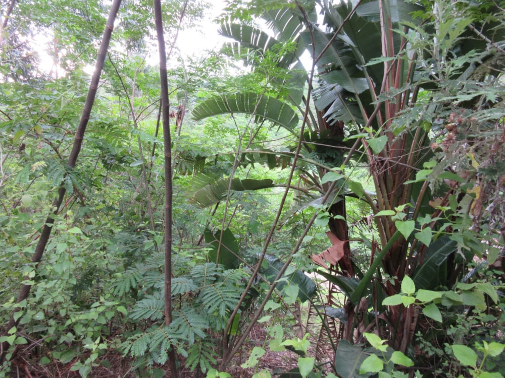 Vacant land for sale in Ramsgate - 1PD1635140 Vacant land for sale in Ramsgate - 1PD1635140