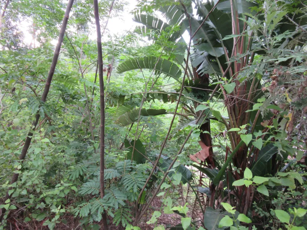 Vacant land for sale in Ramsgate - 1PD1635140 Vacant land for sale in Ramsgate - 1PD1635140