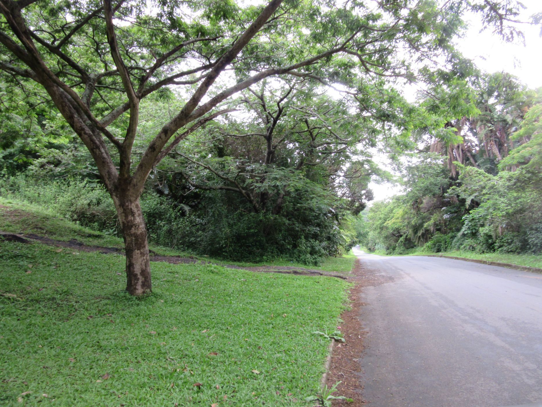 Vacant land for sale in Ramsgate - 1PD1635140