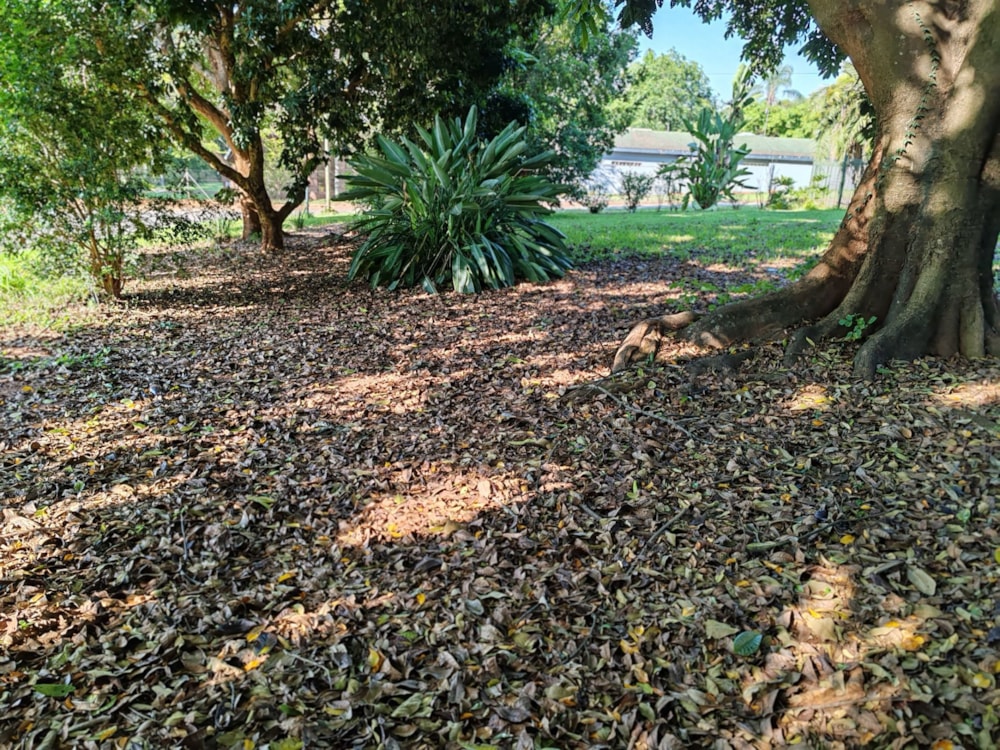 Vacant land for sale in Aqua Park - 1TA1634555 Vacant land for sale in Aqua Park - 1TA1634555