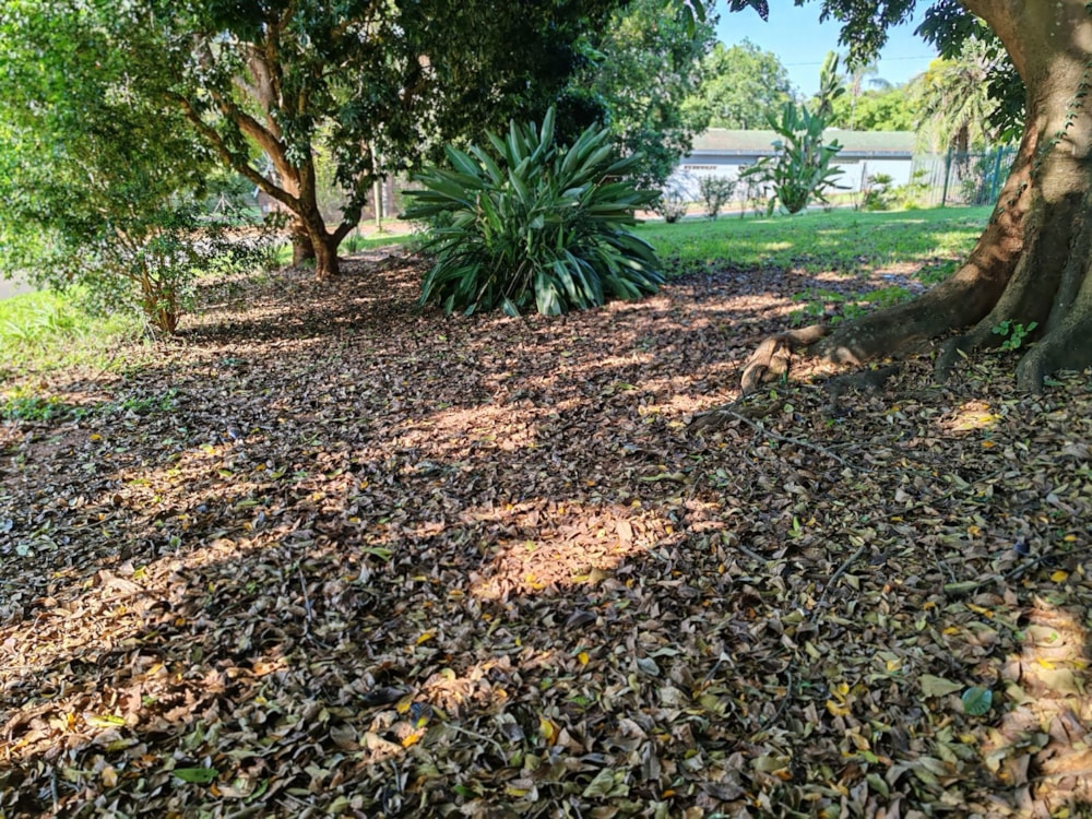 Vacant land for sale in Aqua Park - 1TA1634555 Vacant land for sale in Aqua Park - 1TA1634555